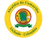 Alcaldía de Cumaribo - Vichada